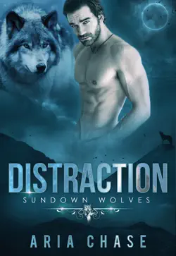 distraction book cover image
