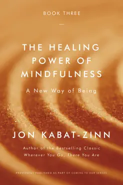 the healing power of mindfulness book cover image