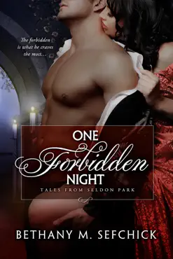 one forbidden night book cover image