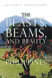 The Beasts, Beams, and Beauty of Abra, Philippines synopsis, comments