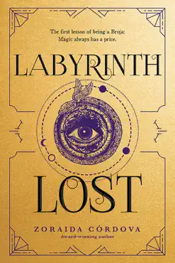 labyrinth lost book cover image