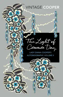 the light of common day book cover image