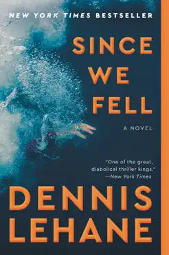 since we fell book cover image