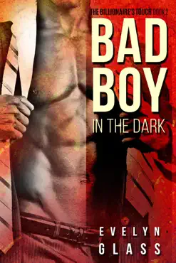bad boy in the dark book cover image
