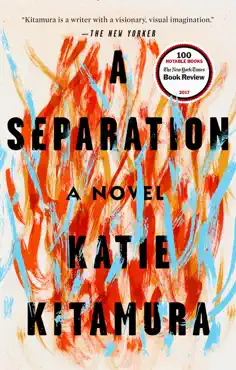a separation book cover image