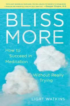 bliss more book cover image