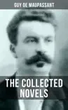 THE COLLECTED NOVELS OF GUY DE MAUPASSANT synopsis, comments