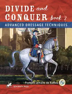 divide and conquer book 2 book cover image