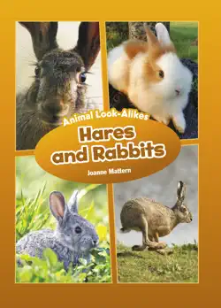 hares and rabbits book cover image