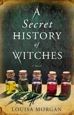 a secret history of witches book cover image