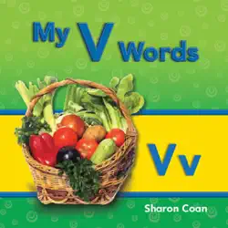 my v words book cover image