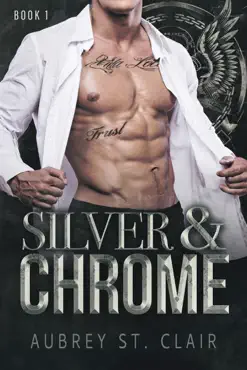 silver and chrome book cover image