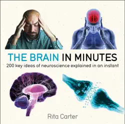 the brain in minutes book cover image