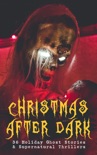 Christmas After Dark - 36 Holiday Ghost Stories & Supernatural Thrillers book summary, reviews and downlod