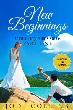 new beginnings: part one book cover image