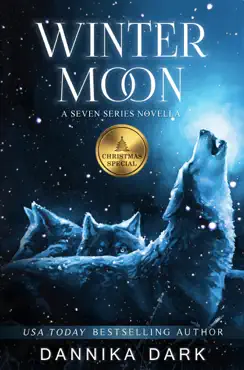 winter moon: a christmas novella book cover image