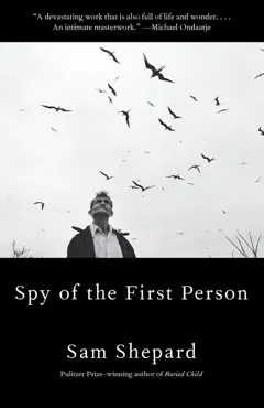 spy of the first person book cover image