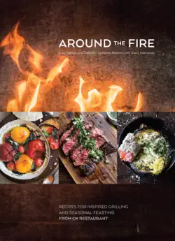 around the fire book cover image