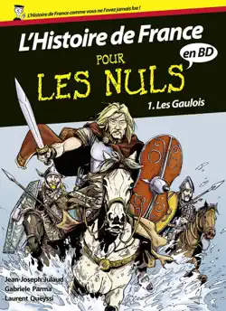 histoire de france en bd pour les nuls, tome 1 book cover image