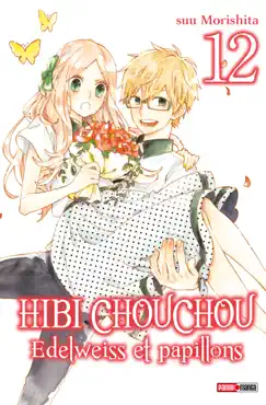 hibi chouchou t12 book cover image