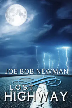 lost highway book cover image