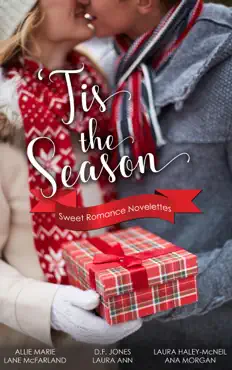 'tis the season: sweet romance novelettes book cover image