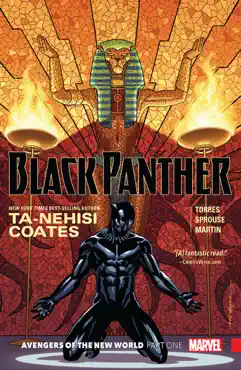 black panther book cover image