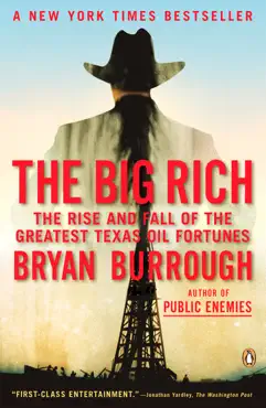 the big rich book cover image