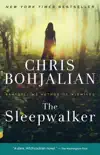 The Sleepwalker synopsis, comments