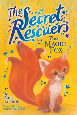 the magic fox book cover image