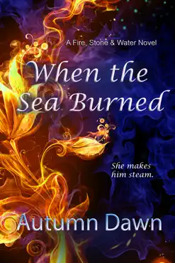 when the sea burned book cover image