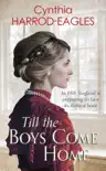 Till the Boys Come Home synopsis, comments