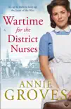 Wartime for the District Nurses synopsis, comments