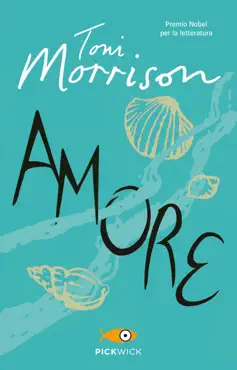 amore book cover image