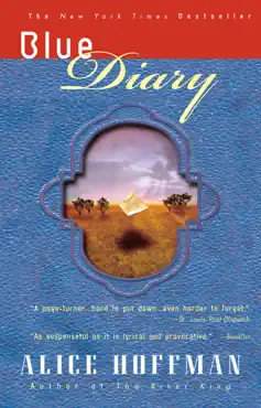 blue diary book cover image