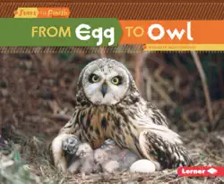 from egg to owl book cover image