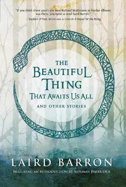 the beautiful thing that awaits us all book cover image