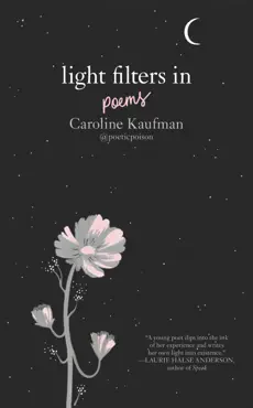 light filters in: poems book cover image