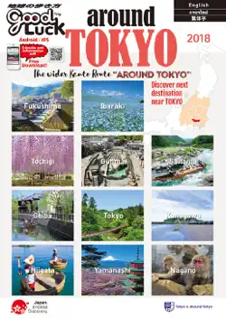 around tokyo for japan travel book cover image