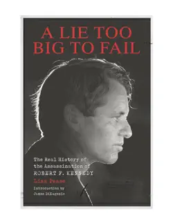 a lie too big to fail book cover image