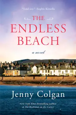 the endless beach book cover image