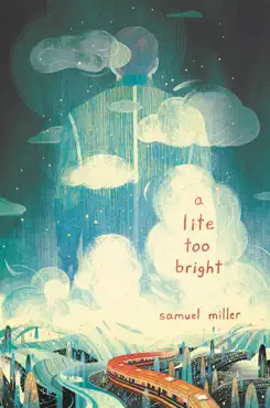 a lite too bright book cover image