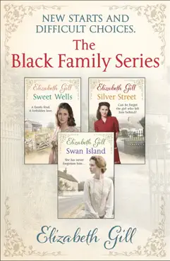 the black family series book cover image