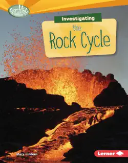 investigating the rock cycle book cover image