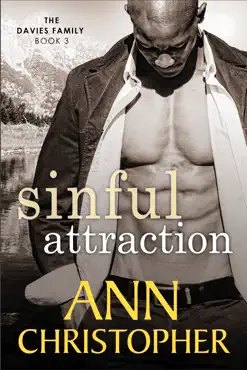sinful attraction book cover image