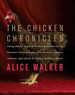 the chicken chronicles book cover image