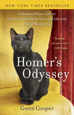 homer's odyssey book cover image