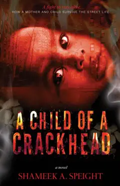 a child of a crackhead book cover image