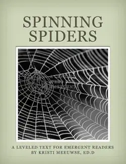spinning spiders book cover image
