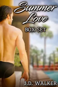 summer love box set book cover image